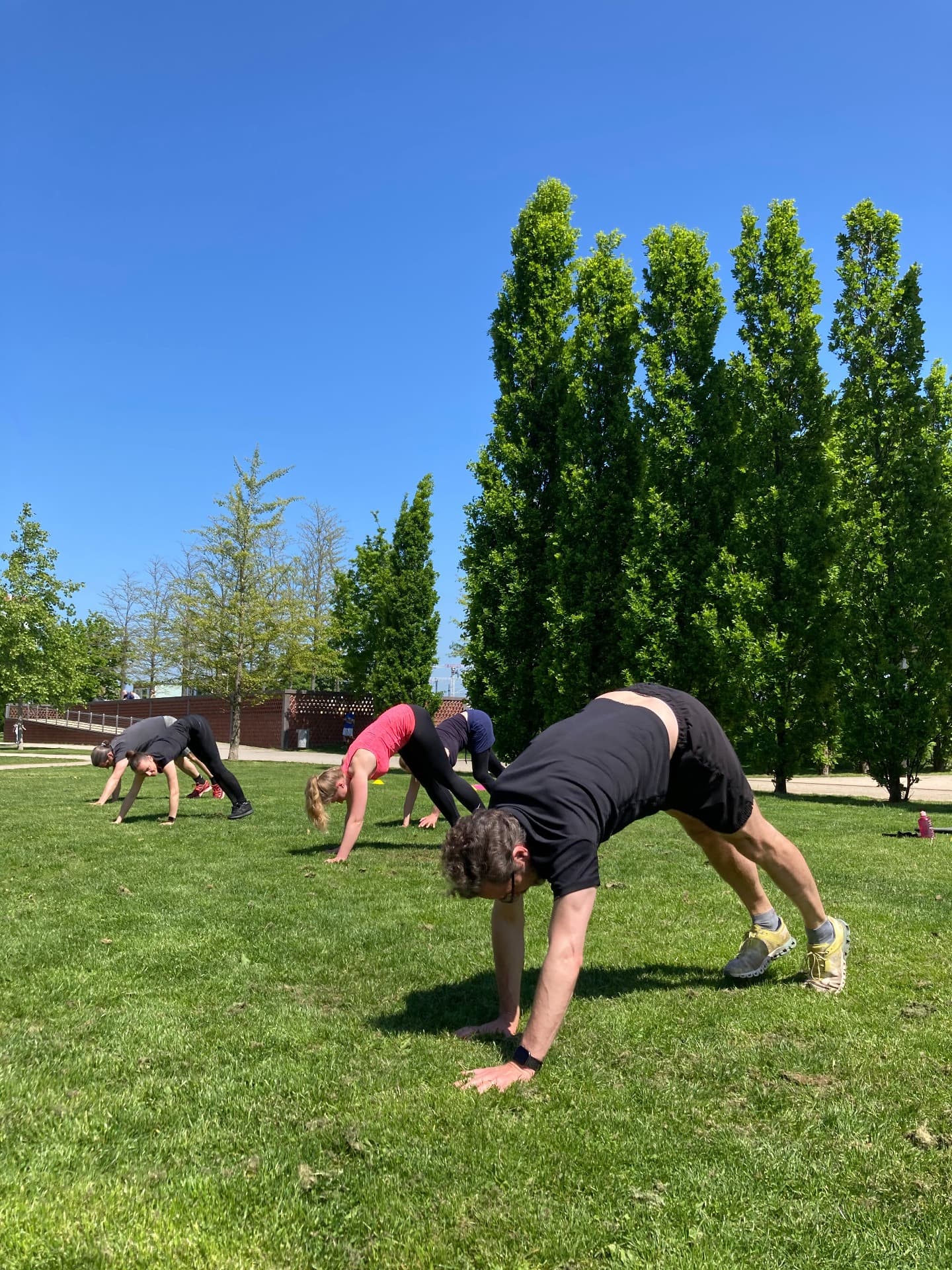 HafenCity Bootcamp Bearwalk 2021