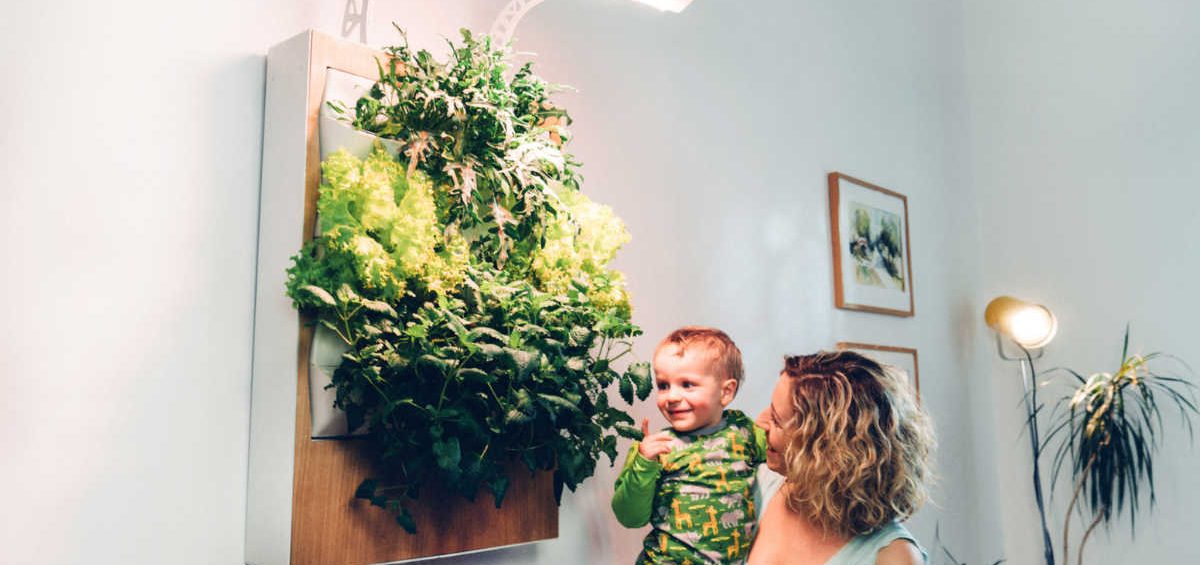 Indoor-Farming Indoor-Farming